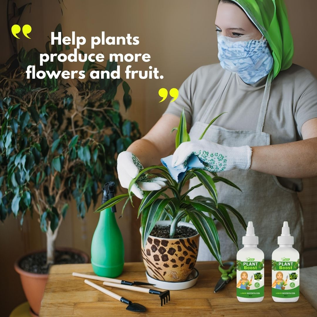 Plant Boost Liquid 50ML (Buy1 Get 2 Free) Offer For Today